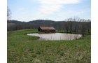 Property photo 18 - 137 Acres in 2 Tracts - 64 Tillable Acres, Potential Building Sites, Hunting